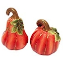Certified International Fall Inspiration Pumpkin Salt & Peppper Set