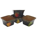 Certified International Fruit Filigree Ice Cream Bowls