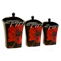 Certified International Midnight Poppies Canister Set