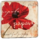 Certified International Midnight Poppies Dinner Plate