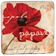 Certified International Midnight Poppies