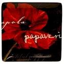 Certified International Midnight Poppies Square Platter