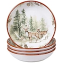 Certified International Mountain Retreat Soup/Pasta Bowl