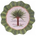 Certified International Palm Island Square Salad/Dessert Plates