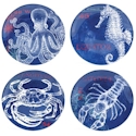 Certified International Pier 45 Salad Plate