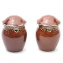 Certified International Regency Brown Salt & Pepper Set