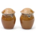 Certified International Regency Gold Salt & Pepper Set