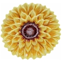 Certified International Sunset Sunflower Dessert Plate