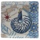 Certified International Trade Winds