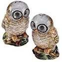 Certified International Winter Lodge Owl Salt & Pepper Set