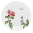 Corelle Camellia