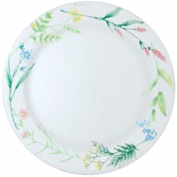 discontinued dishes