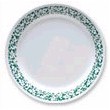 Corelle Sponge Green