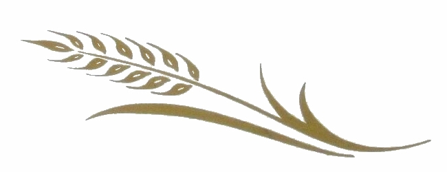 Wheat by CorningWare