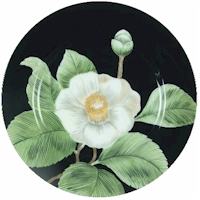 Moon Flower by Fitz and Floyd