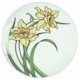 Fitz and Floyd Variations Daffodil