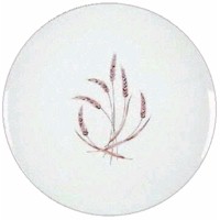 Glenfield Porcelain China by Franciscan