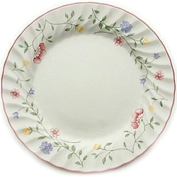 Summer Chintz by Johnson Brothers