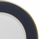 Mikasa Color Studio Blue/Gold