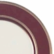 Mikasa Ambassador