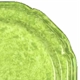Mikasa Broccoli