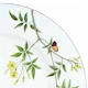 Mikasa Butterfly Fancy
