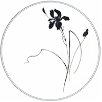 Ebony Iris by Mikasa