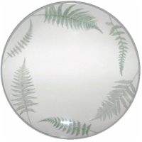 Fern Forest by Mikasa