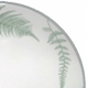 Mikasa Fern Forest