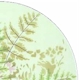 Mikasa Foliage