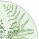 Mikasa Lacy Fern