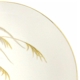 Mikasa Laguna