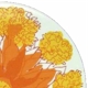 Mikasa Marigolds