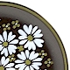 Mikasa Ravenna