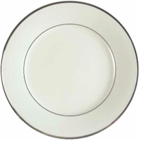 Regency Platinum by Mikasa