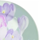Mikasa Spring Crocus