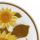 Mikasa Sun Blaze