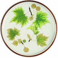 Sycamore by Mikasa