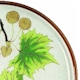 Mikasa Sycamore
