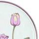 Mikasa Tulip Time