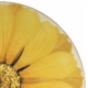 Mikasa Tuscan Flower