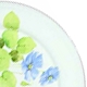 Mikasa Water Flowers