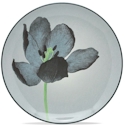 Noritake Colorwave Graphite Floral Accent Plate