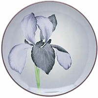 Colorwave Purple by Noritake