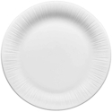 Noritake Conifere Dinner Plate