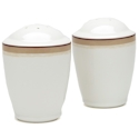 Noritake Mocha Java Swirl Salt & Pepper Set