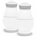 Noritake Odessa Platinum Salt & Pepper Set