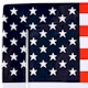 222 Fifth by PTS International American Flag