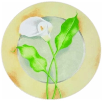 222 Fifth by PTS International Calla