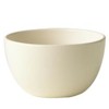 Pfaltzgraff Artisan Beige Soup Bowl